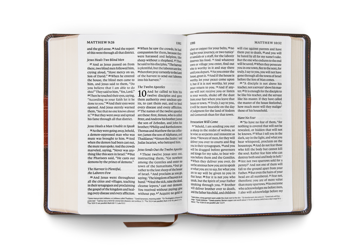 ESV Giant Print Personal Size Bible – Leather by Crossway, product view 2