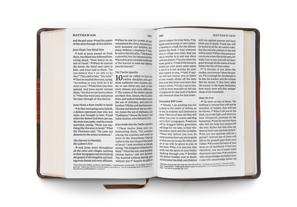 ESV Giant Print Personal Size Bible – Leather by Crossway, product view 2