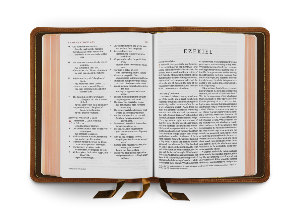 ESV Heirloom Bible, Alpha: Personal Size Edition – Leather by Crossway, product view 2