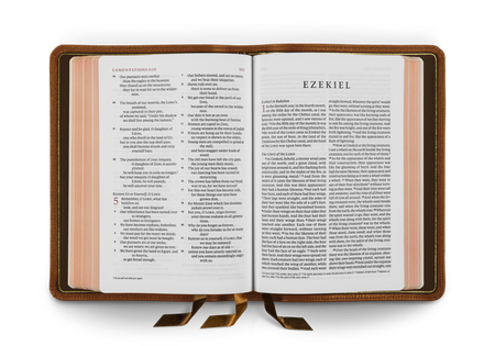 ESV Heirloom Bible, Alpha: Personal Size Edition – Leather by Crossway, product view 2