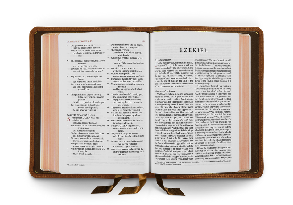 ESV Heirloom Bible, Alpha: Personal Size Edition – Leather by Crossway, product view 2
