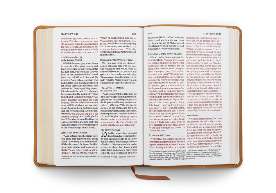 ESV Large Print Personal Size Bible, Red Letter – Leather, TruTone®, Nubuck Caramel, Wildflower Design, product view 2