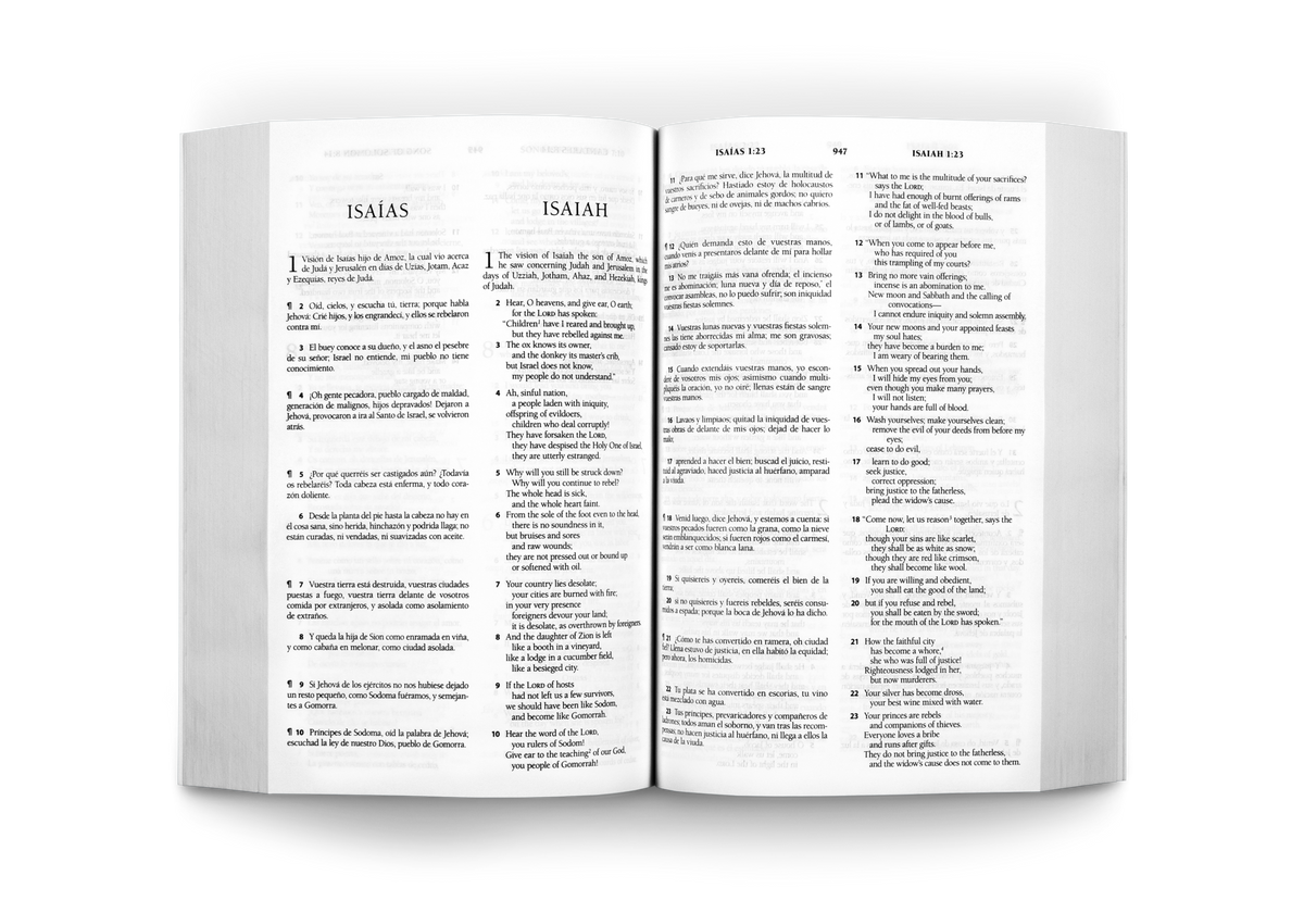 ESV Spanish/English Parallel Bible by Crossway, product view 7