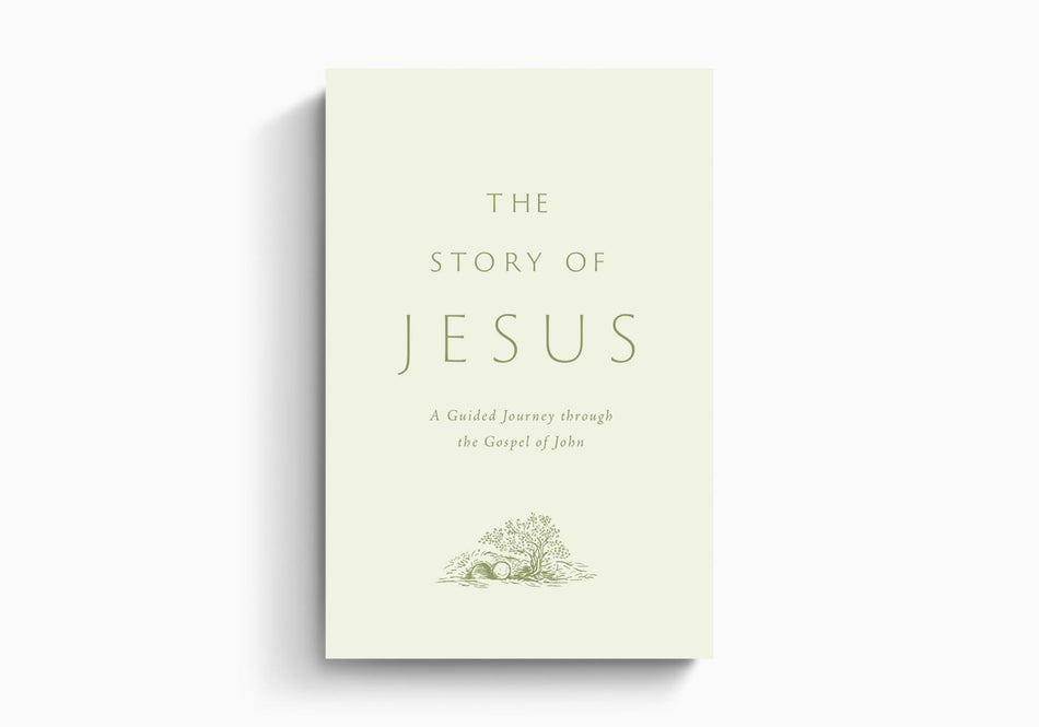 The Story of Jesus: A Guided Journey through the Gospel of John