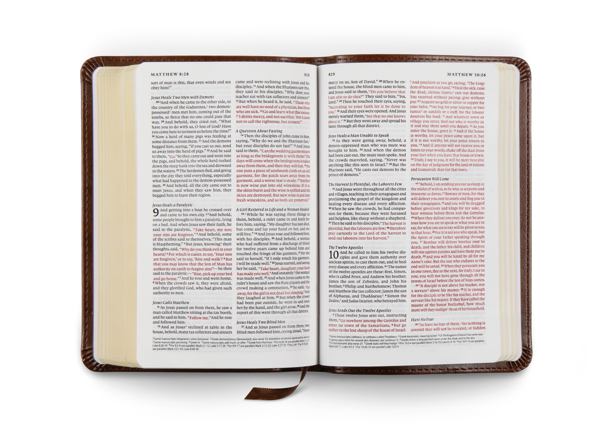 ESV Compact Bible, Red Letter – Leather by Crossway, product view 2