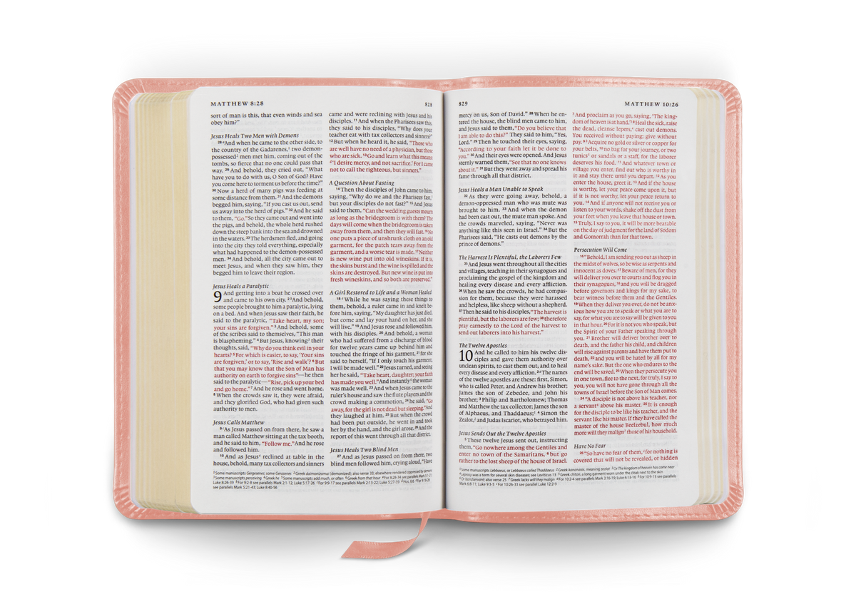 ESV Compact Bible, Red Letter by Crossway, product view 2