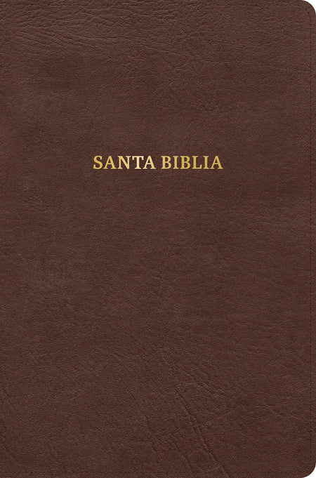 1960 Biblia Gracia, (RVR ) café, símil piel by Broadman and Holman