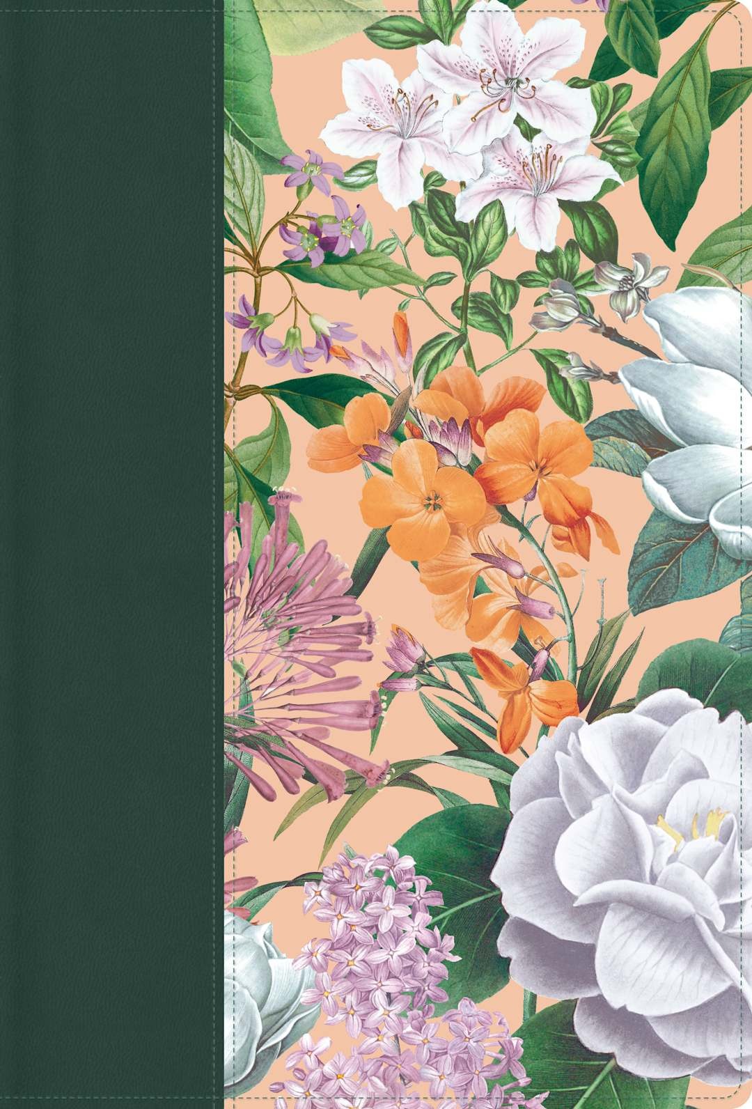 1960 Letra grande tamaño manual, edición especial, (RVR ) verde jardín, símil piel by Broadman and Holman