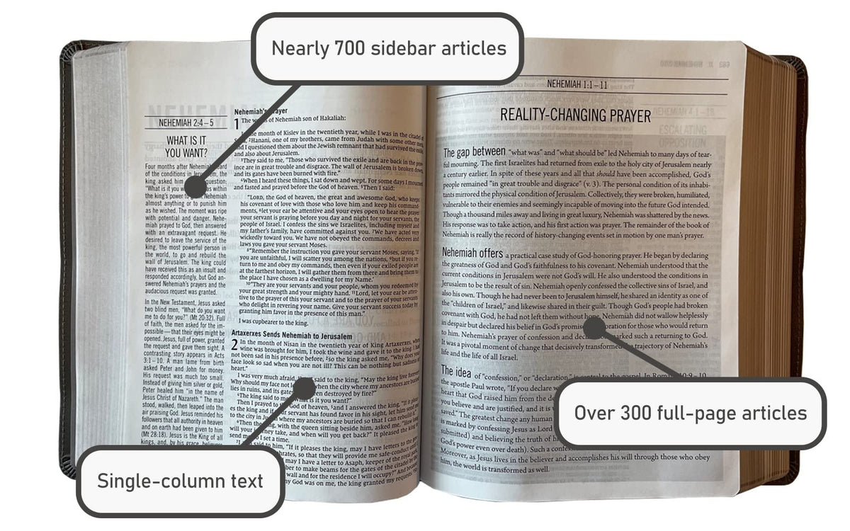 The Jesus Bible, NIV Edition, Comfort Print – Leathersoft™, Stone by HarperCollins, product view 3