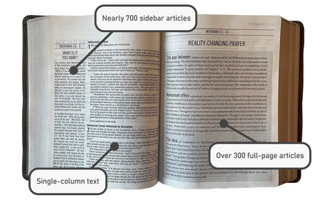The Jesus Bible, NIV Edition, Comfort Print – Leathersoft™, Stone by HarperCollins, product view 3