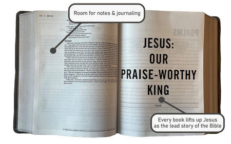 The Jesus Bible, NIV Edition, Comfort Print – Leathersoft™, Stone by HarperCollins, product view 2