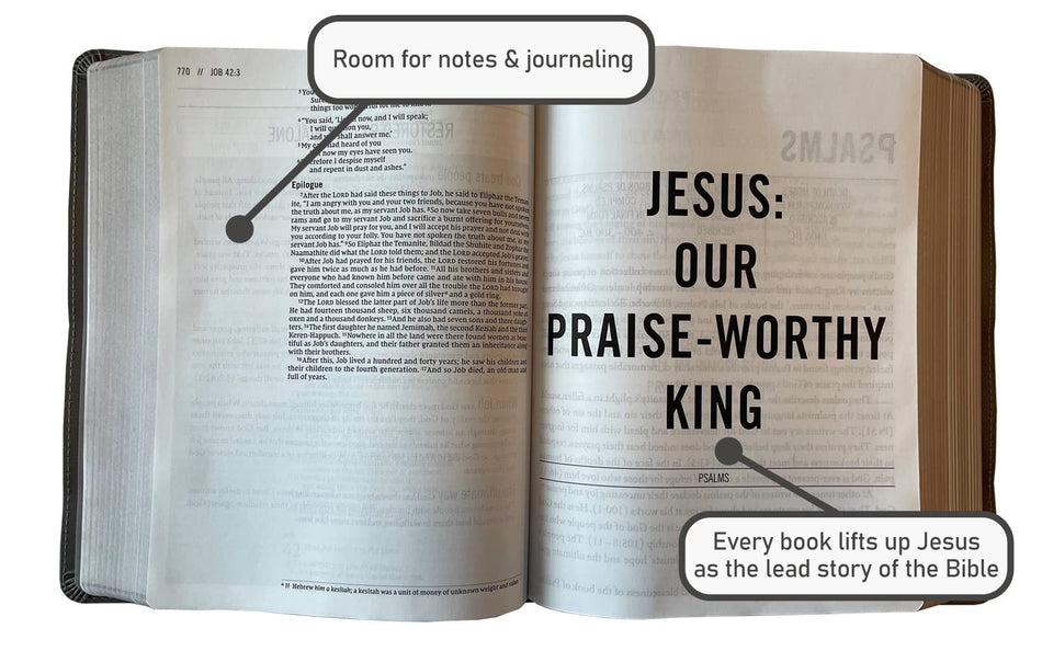 The Jesus Bible, NIV Edition, Comfort Print – Leathersoft™, Stone by HarperCollins, product view 2