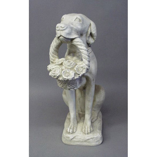 Labrador dog with basket