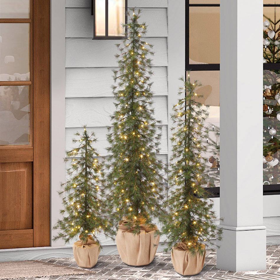 Burlap LED Alpine Trees Set of 3