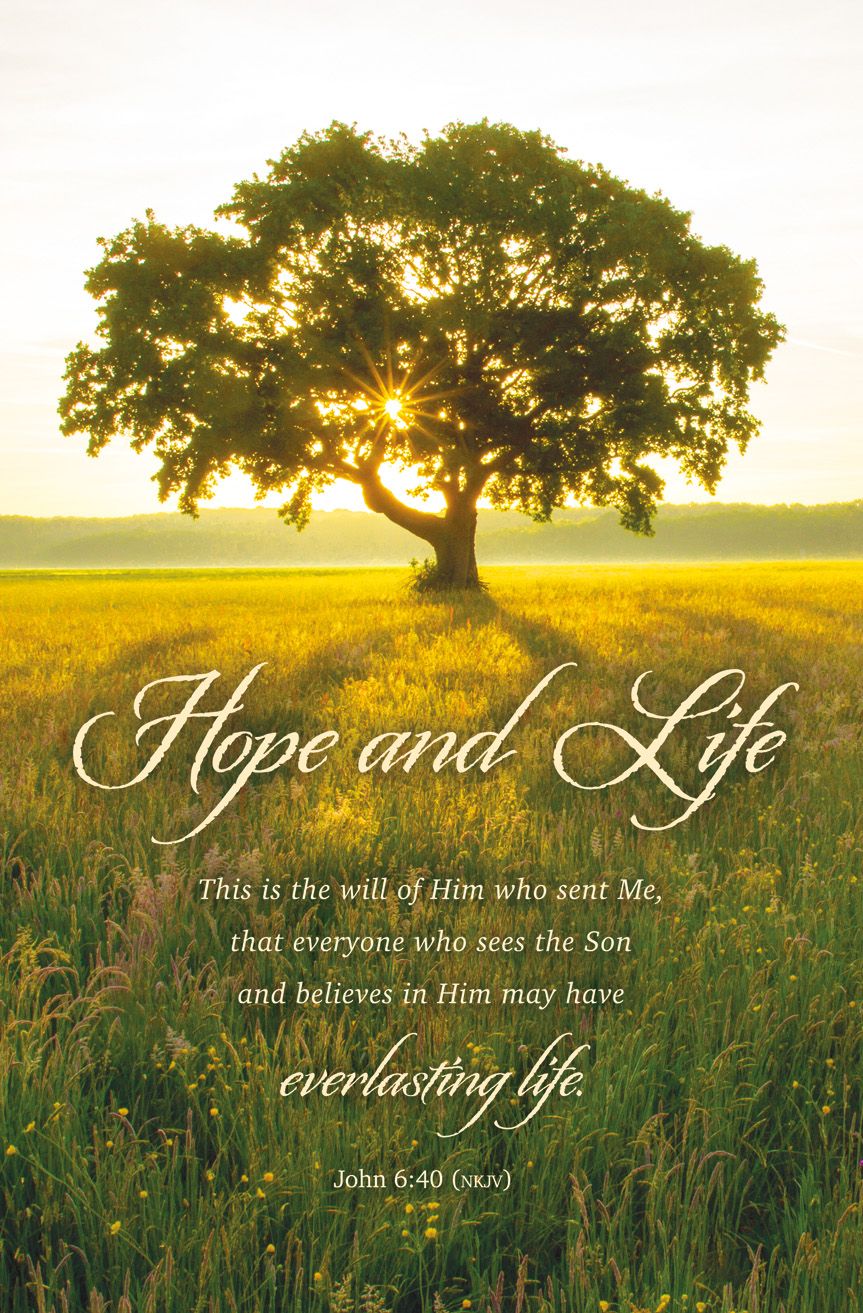 Funeral - Hope and Life - Standard Bulletin by Anchor Christian Distributors