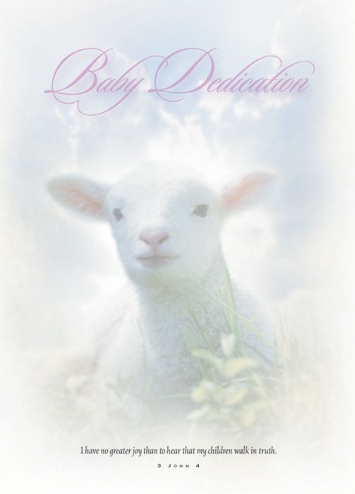 Baby Dedication Certificate - 5x7 folded, Premium, Full Color by Anchor Christian Distributors