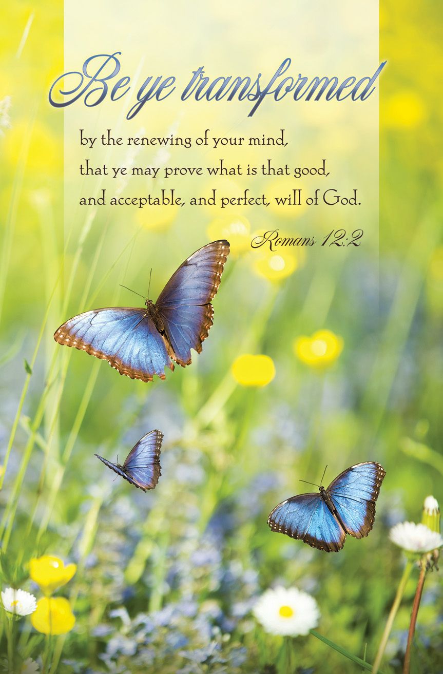 General - Be ye transformed, Romans 12:2 (KJV) - Pkg 100 - Standard Bulletin by Anchor Christian Distributors