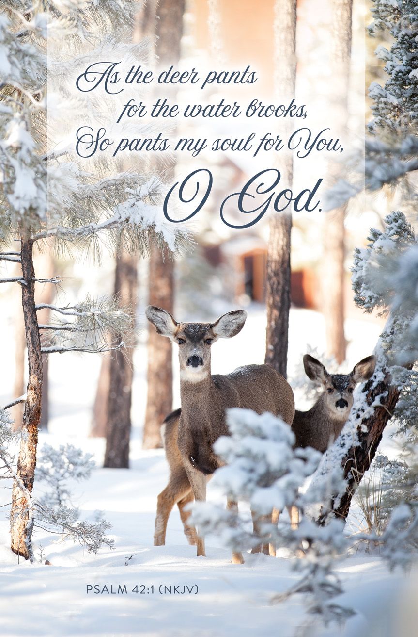 General - As the Deer/Psalm 42:1 (NKJV) - Pkg of 100 - Standard Bulletin by Anchor Christian Distributors