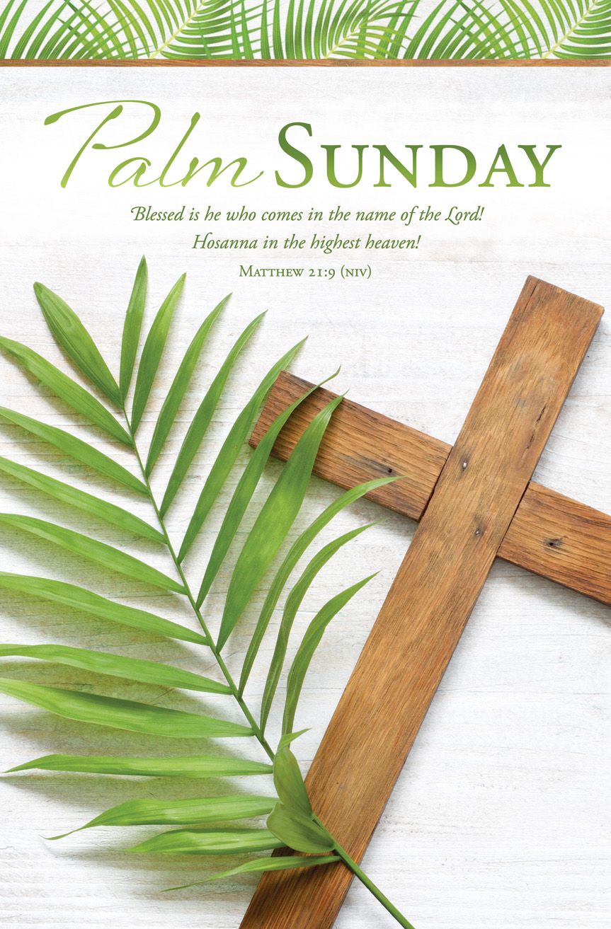 Palm Sunday - Hosanna; Matt 21:9 (NIV) - Pkg 100 - Standard Bulletin by Anchor Christian Distributors