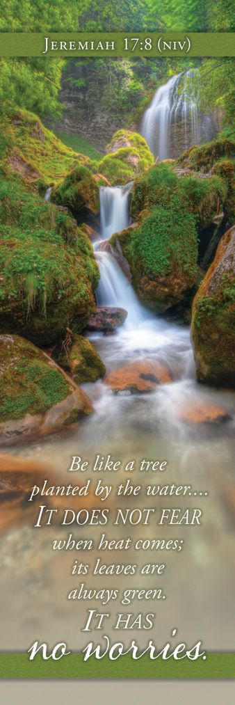 General—Jeremiah 17:8 (NIV)—Pkg 25—Bookmark by Anchor Christian Distributors