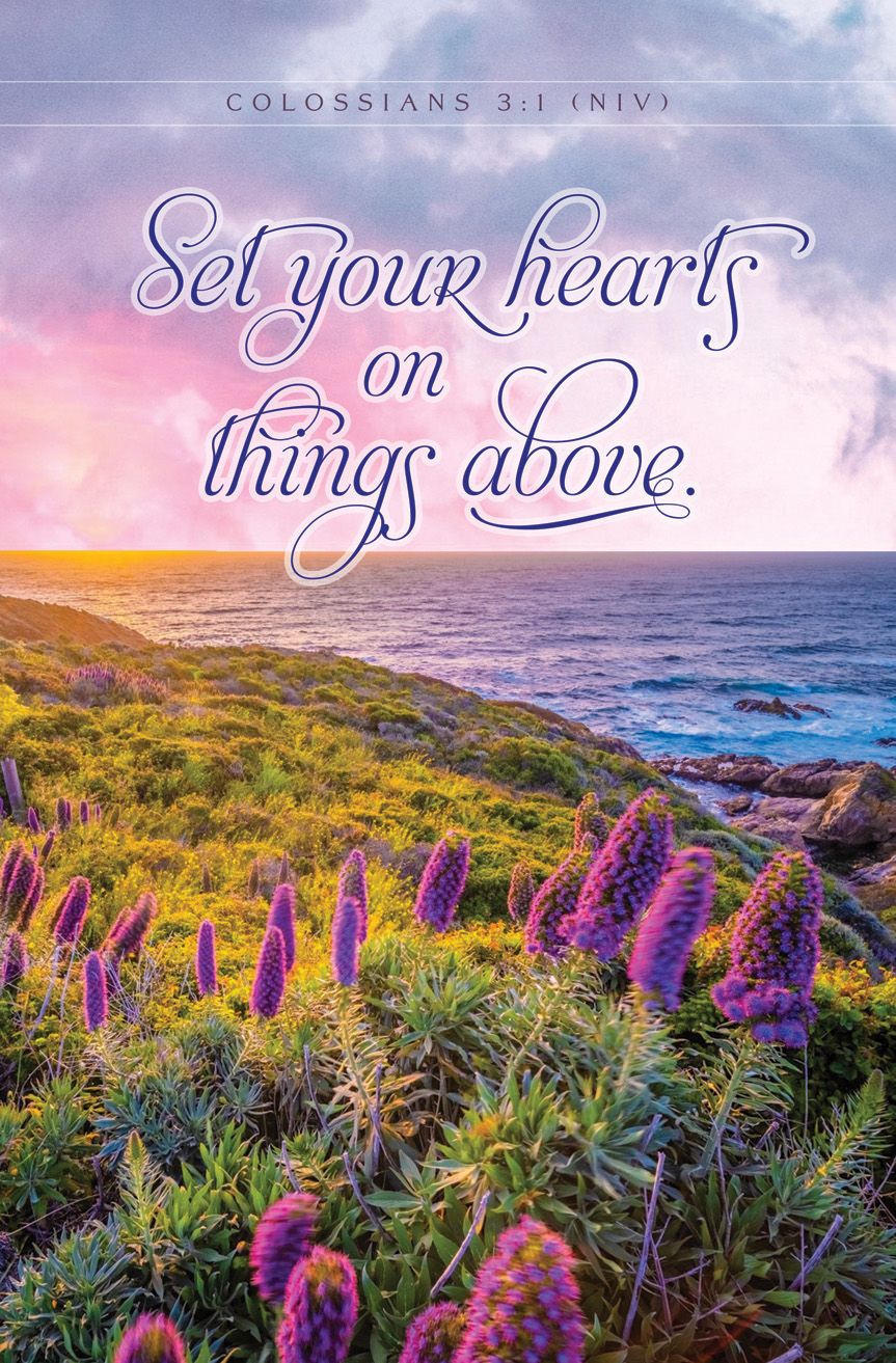 General-Set Your Hearts; Colossians 3:1 (NIV)-Pkg 100-Standard Bulletin by Anchor Christian Distributors