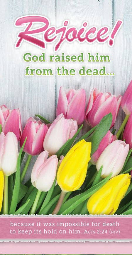Easter – Rejoice! Acts 2:24 (KJV) – Pkg 100 – Offering Envelope by Anchor Christian Distributors