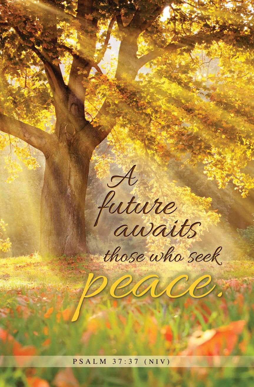 General—A Future Awaits; Psalm 37:37 (NIV)—Pkg 100—Standard Bulletin by Anchor Christian Distributors