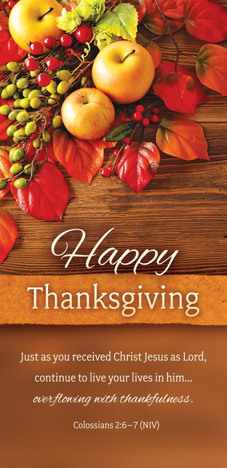 Thanksgiving—Happy Thanksgiving; Col 2:6–7 (NIV)—Pkg 100—Offering Envelope by Anchor Christian Distributors