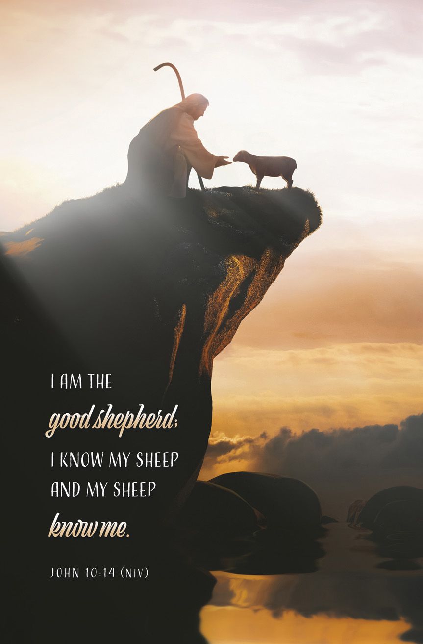 General—John 10:14 (KJV)—Pkg 100—Standard Bulletin by Anchor Christian Distributors