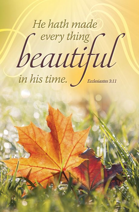 General Worship Standard Bulletin - He hath made every thing beautiful in his time by Anchor Christian Distributors