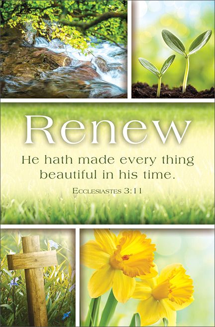 General/Spring Standard Bulletin - He hath made every thing beautiful by Anchor Christian Distributors