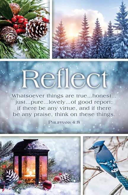 Standard Bulletin | General | Reflect | Season Series by Anchor Christian Distributors