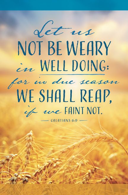 General - Let us not be weary - Standard Bulletin by Anchor Christian Distributors