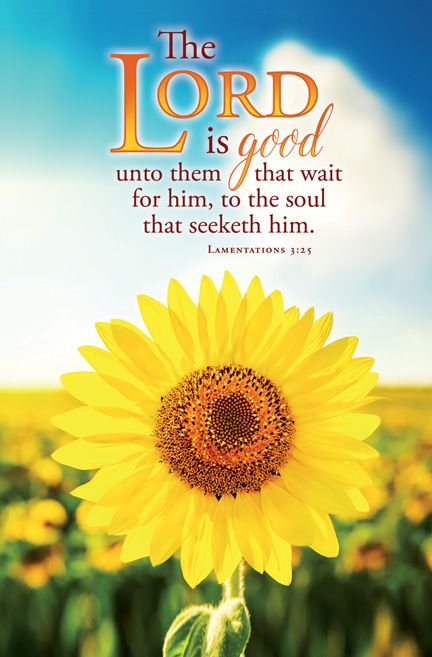 General - The LORD is good - Standard Bulletin by Anchor Christian Distributors