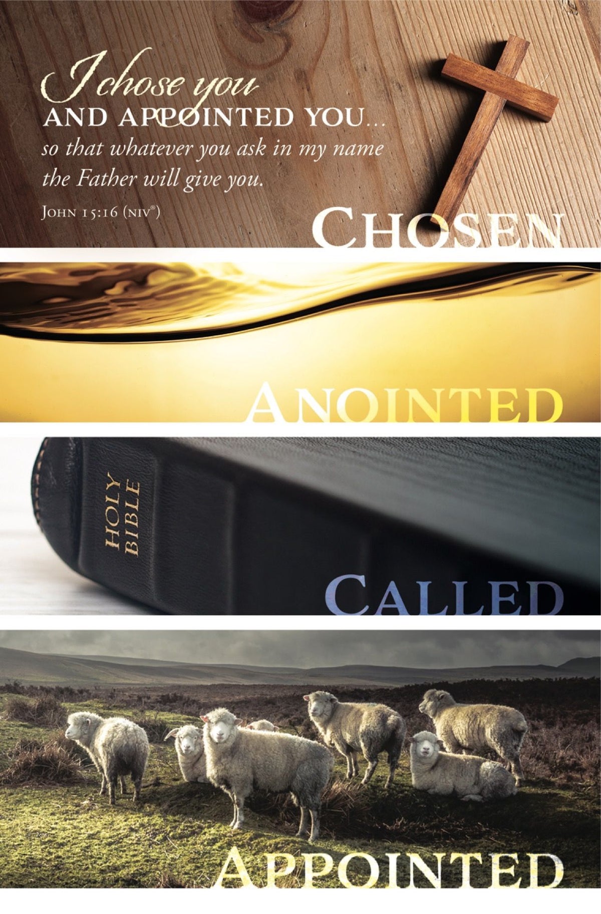 Installation and Ordination - I chose and appointed you - Standard Bulletin by Anchor Christian Distributors